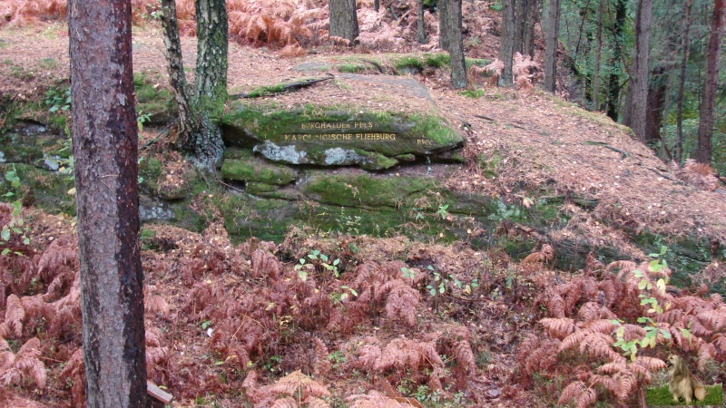 Ritterstein Nr. 219-4 Burghalder Fels - Karolingische Fliehburg.JPG - Ritterstein Nr.219 Burghalder Fels - Karolingische Fliehburg